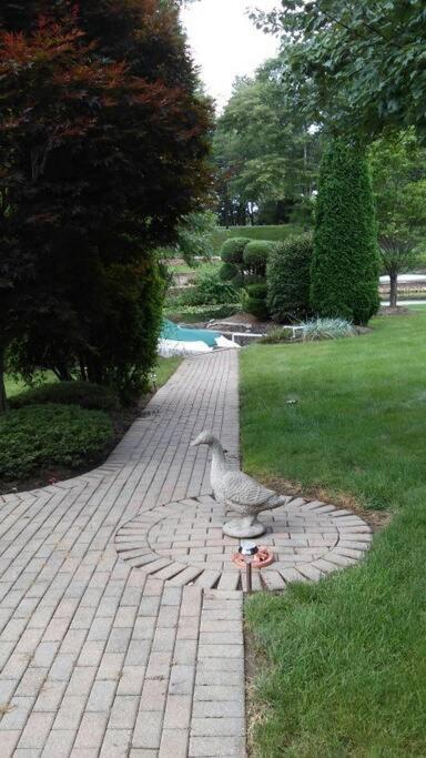 Private Guest Suite On The Portage Lakes Akron Luaran gambar